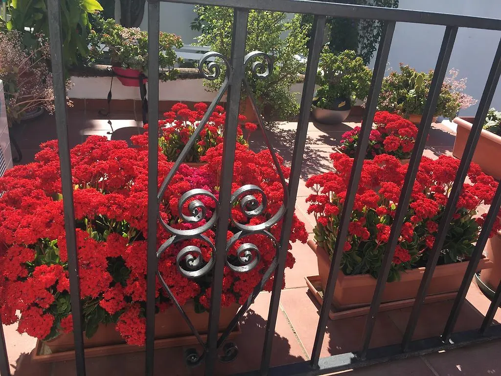Pensión Aduar Marbella Casa de hóspedes