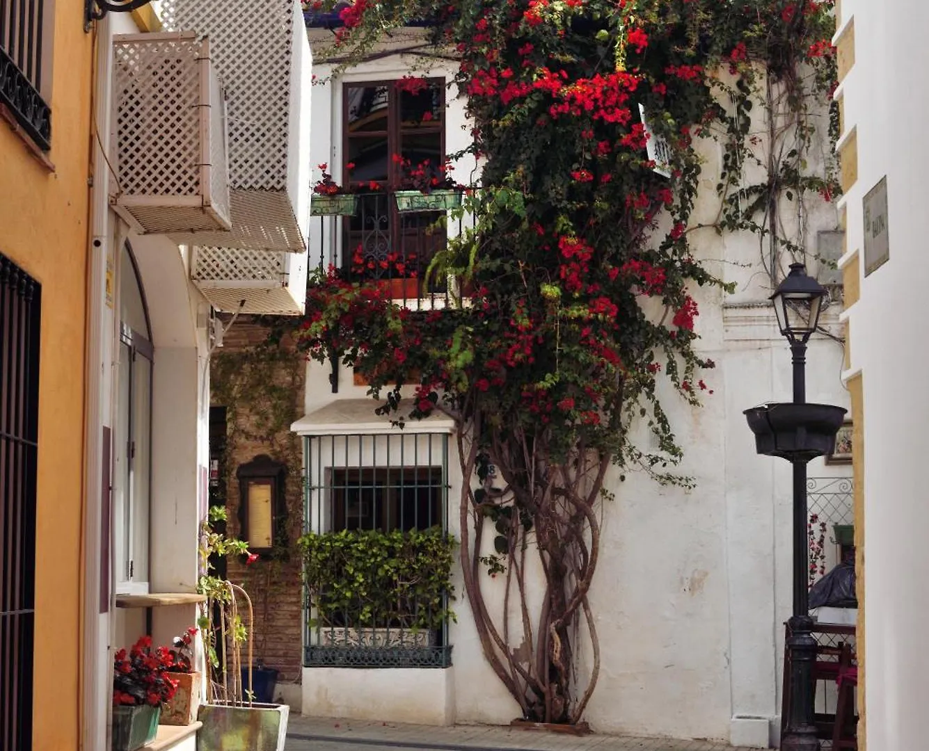 Pensión Aduar Marbella
