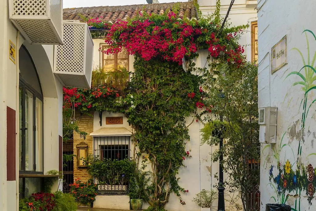 Pensión Aduar Marbella