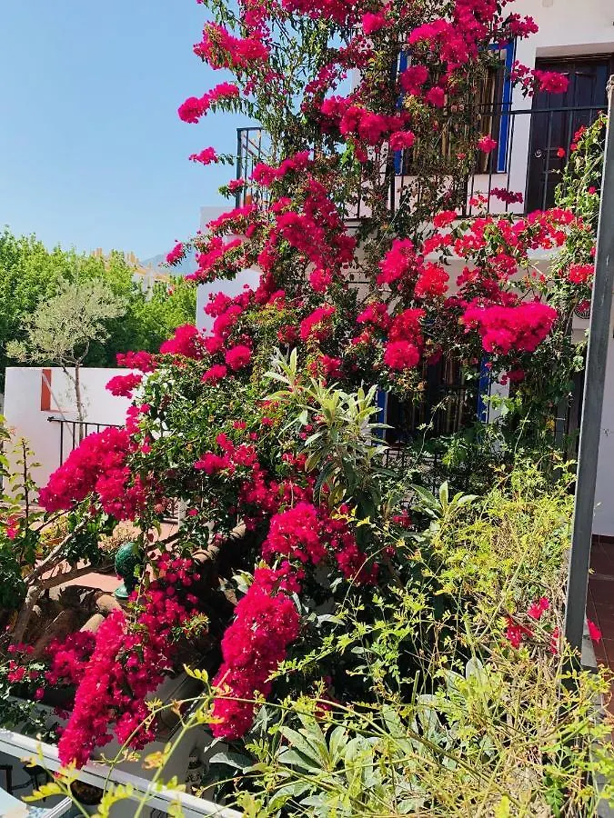 Pension Aduar Marbella Guest house